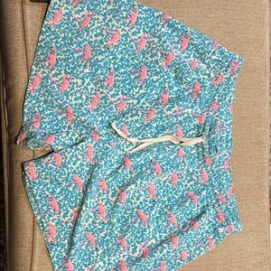 Chubbies Blue and Pink Swim Trunks